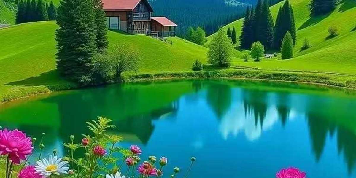 Twitter reacts toward the Bengals deciding on Dylan Fairchild in just the 3rd spherical